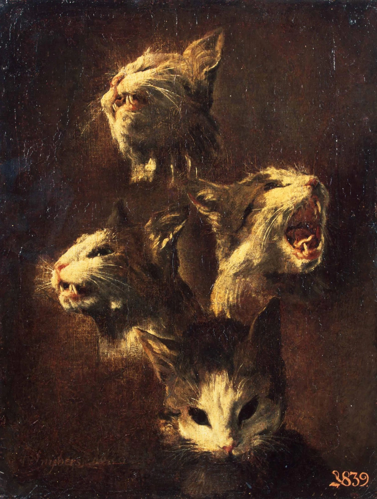 Studio di gatto - State Hermitage Museum, St. Petersburg